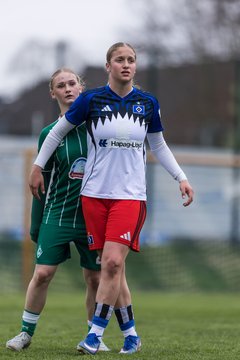 Bild 142 - wBJ Hamburger SV - SV Werder Bremen : Ergebnis: 2:2